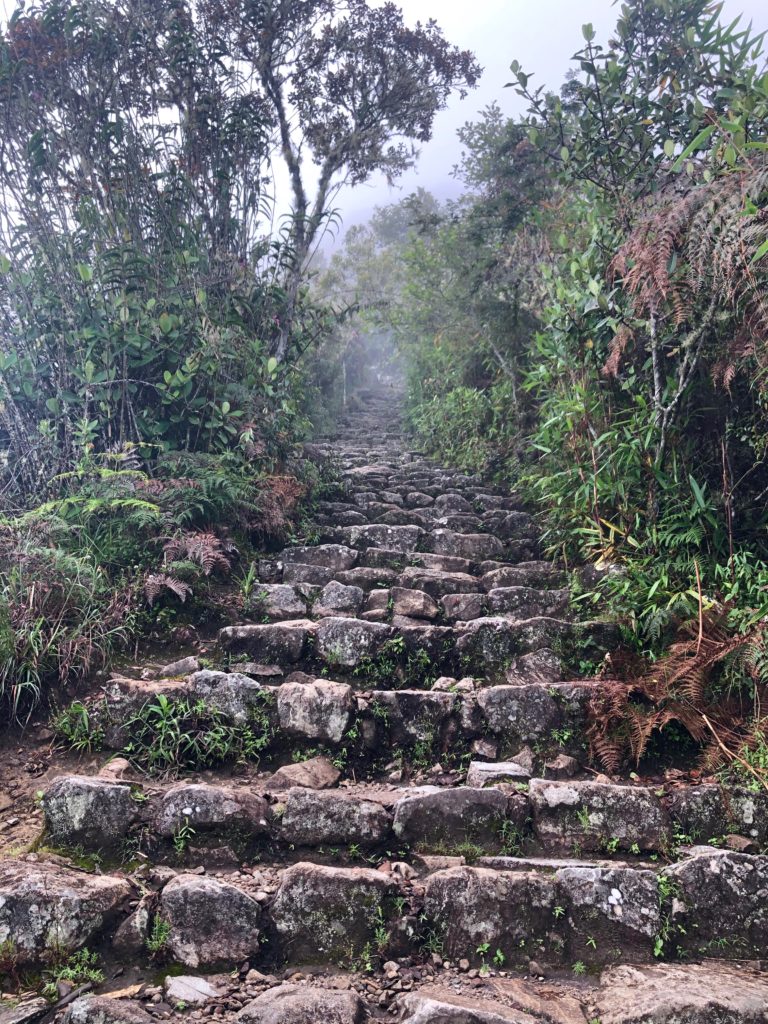 Machu Picchu, path to the mountain